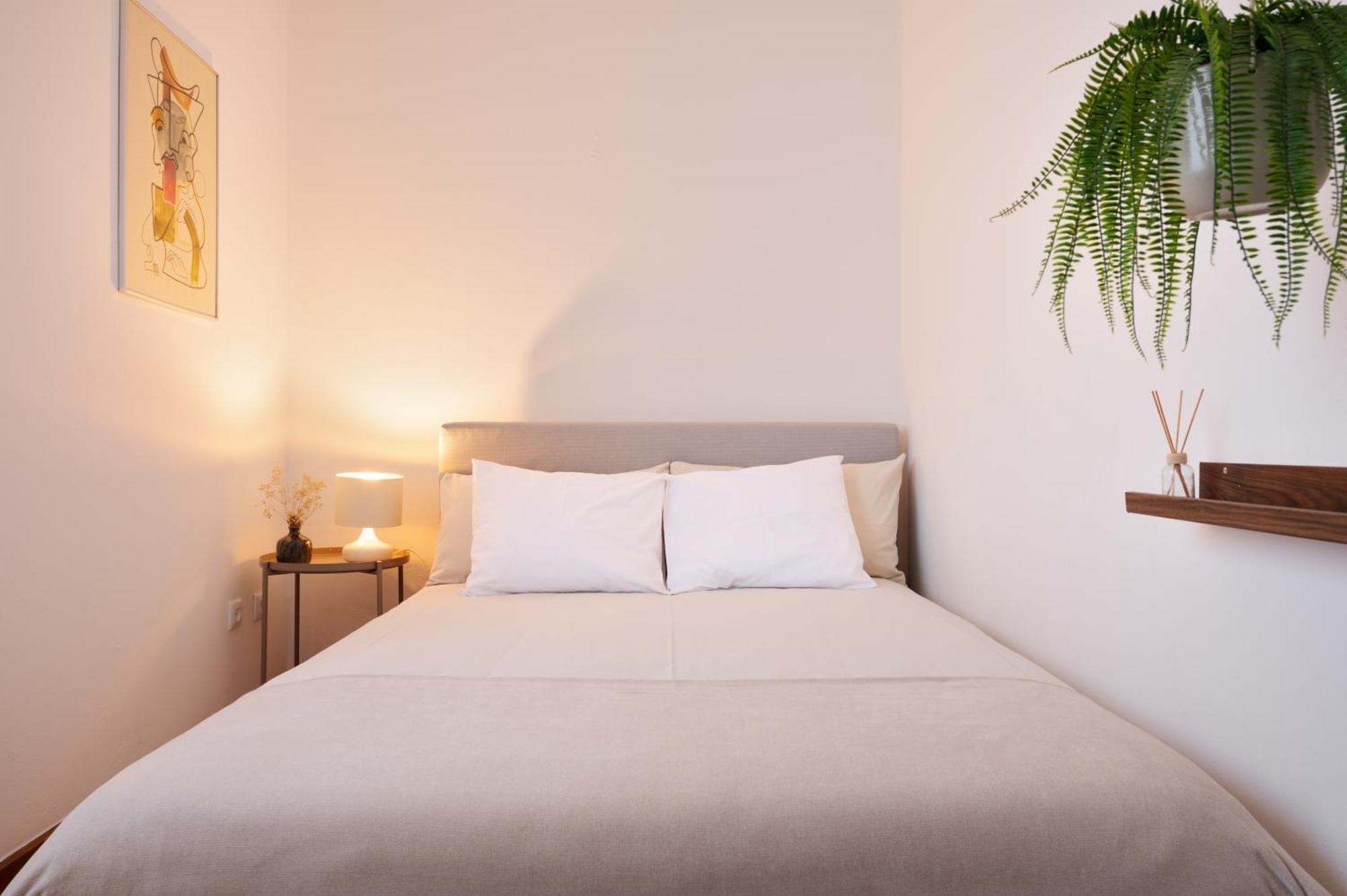 Apartment ! Bright 2br Hammock Flat ! Praca Da Republica